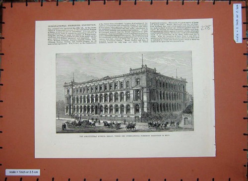 Original old antique print - old,