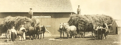 Antique vtg photograph farm - antique,