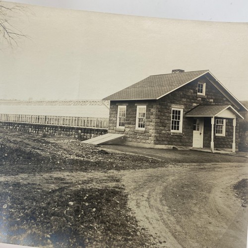 Vintage early 1900s berwick - early,