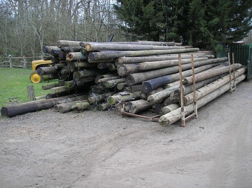 Used telegraph poles - poles,, fencing